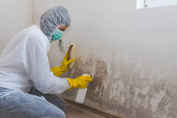 Best Mold Cleaning Services  in Smithfield, VA