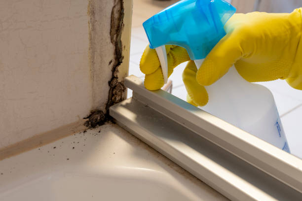 Best Mold Testing  in Smithfield, VA
