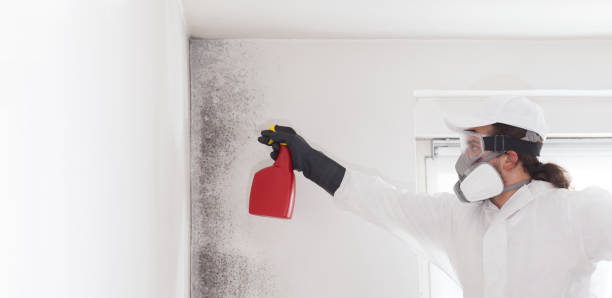 Best Crawl Space Mold Removal  in Smithfield, VA