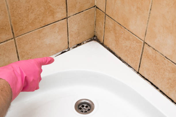 Best Residential Mold Removal  in Smithfield, VA